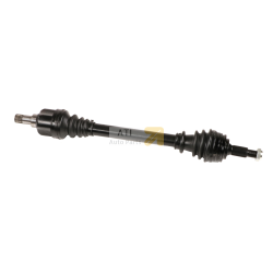 08801_1.jpg